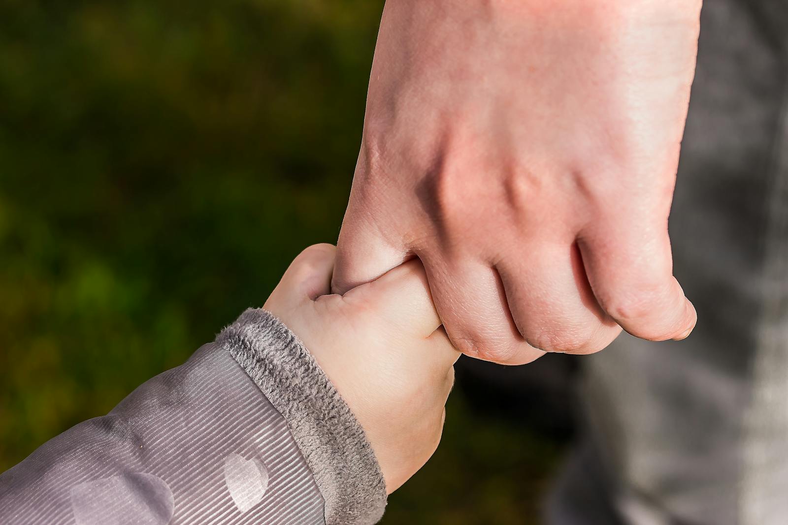 life, A close-up of a child and parent holding hands in a park, symbolizing love and trust.